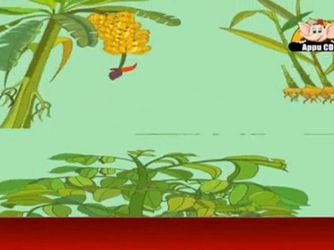 Learn about Plants in Hindi - Herbs