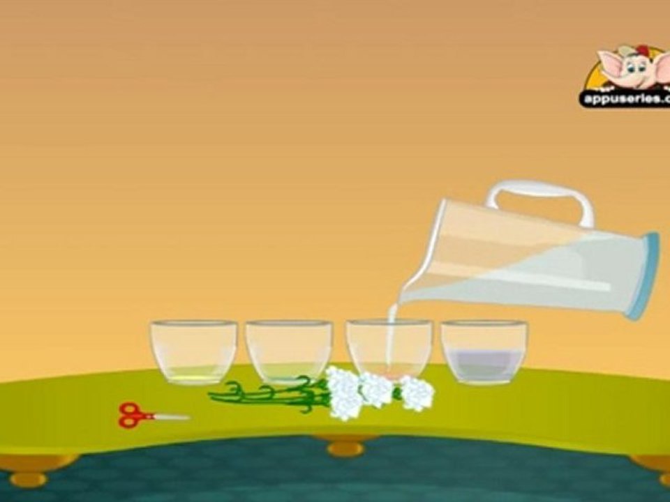 Learn Science through Home Experiments in Kannada  - Drinking Plants