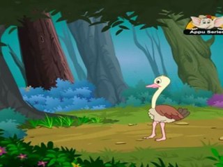 Animal Sounds - Ostrich