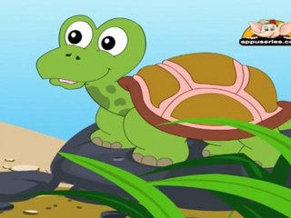 Animal Sounds - Tortoise