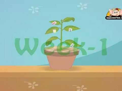Learn about Plants in Kannada - Photosynthesis Experiment - 2