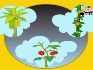 Learn Fruits & Vegetables in Kannada - Introduction