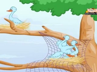 The Wise Old Bird in Marathi - Panchatantra Tale