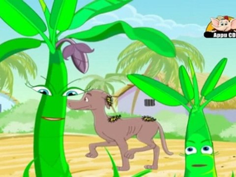 Learn about Plants in Kannada - Seed Dispersal