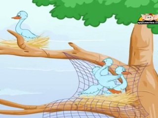 Panchatantra Tales in Telugu - The Wise Old Bird