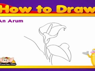 Learn to Draw Flower - Arum