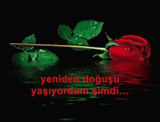 ¦¦ »-(¯`v´¯)-» …-Gönül Dostları Birleşince!!!-… «-(¯`v´¯)-« ¦¦