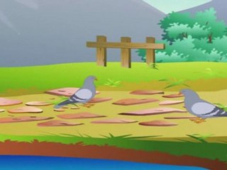 Animal Sounds in Hindi - Pigeon