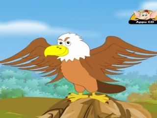 Animal Sounds in Hindi - Eagle