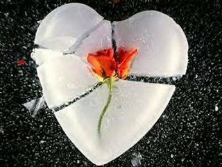 ELİF REYYA NAZ-SELÇUK DOKAK-ALİ ERDİNÇ     AÇIK ADRESİM