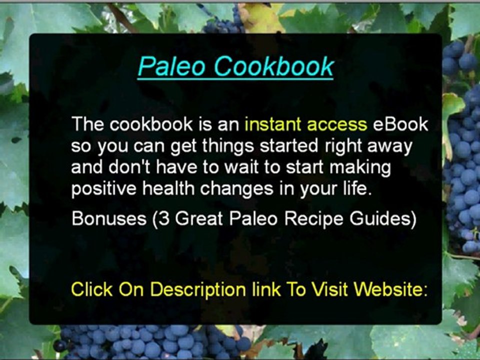 Paleo Recipe Book