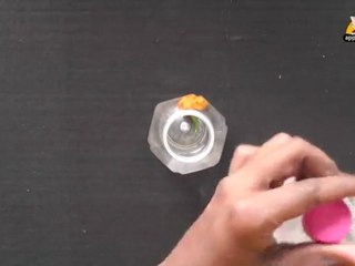 Remove a Flower from a Bottle - Learn A Trick