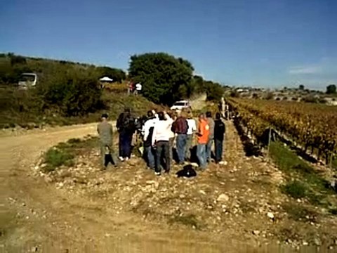 VID 00066-20111113-1243