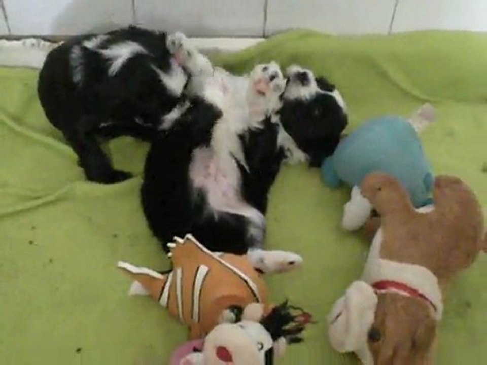 Bébés de Charlotte le 22 novembre