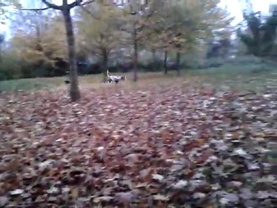 video-2011-11-06-17-17-08