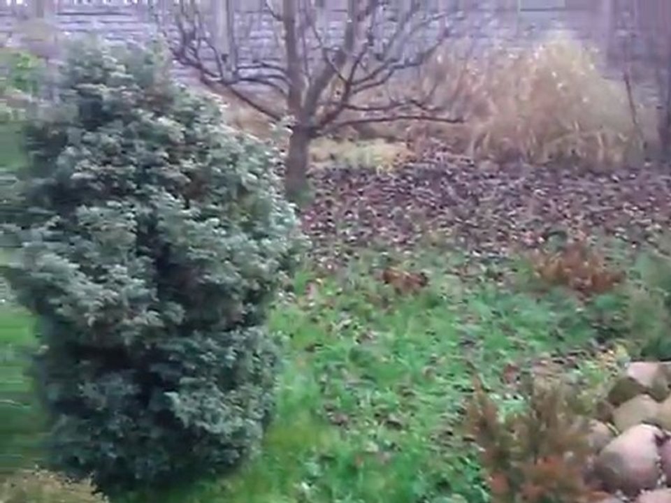 WP_20111122_074459Z