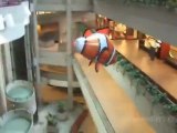 Toys2000 Remote Controlled Flying Shark Video Demonstration HD