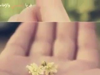 ‫رباط الأخوة طوق النجاة .. بوابة الاسلام‬