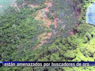 Descubren indígenas aislados