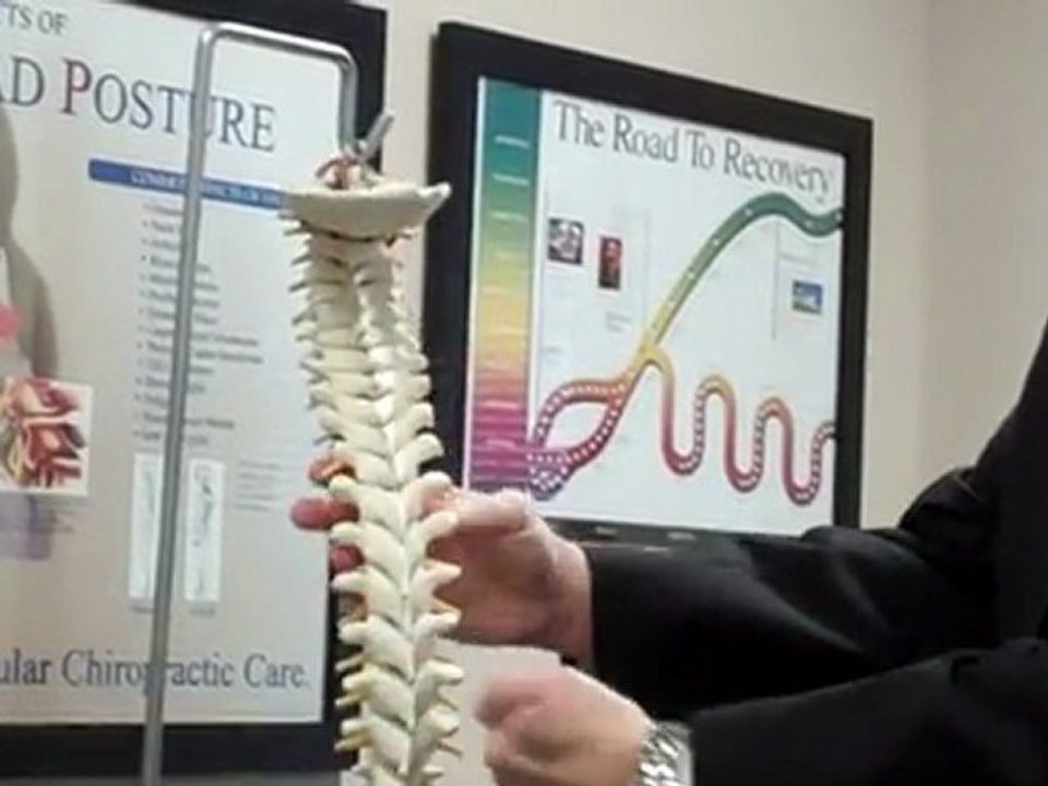 Bloomington IL Chiropractor Treats Neck Pain