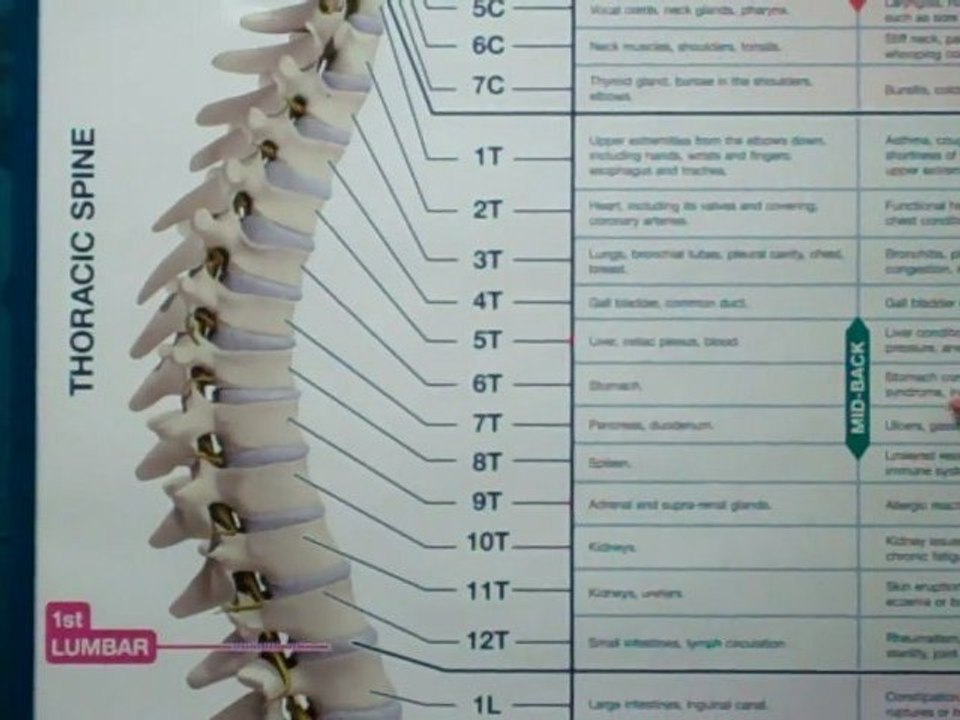 Bloomington IL Chiropractor Discusses Heartburn