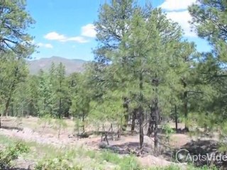 Canyon Village Apartments in Los Alamos, NM - ForRent.com