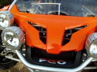 Buggy PGO-500