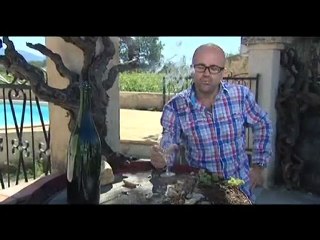 Best of Jeff Carias