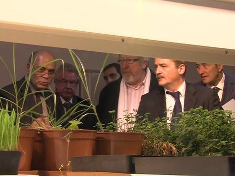 Opal'TV: Le JT-Edition du Mardi 22 Novembre 2011