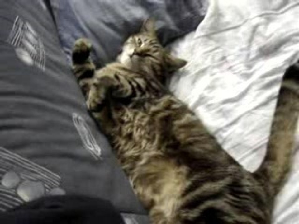 Tranquille la vie de Mousse