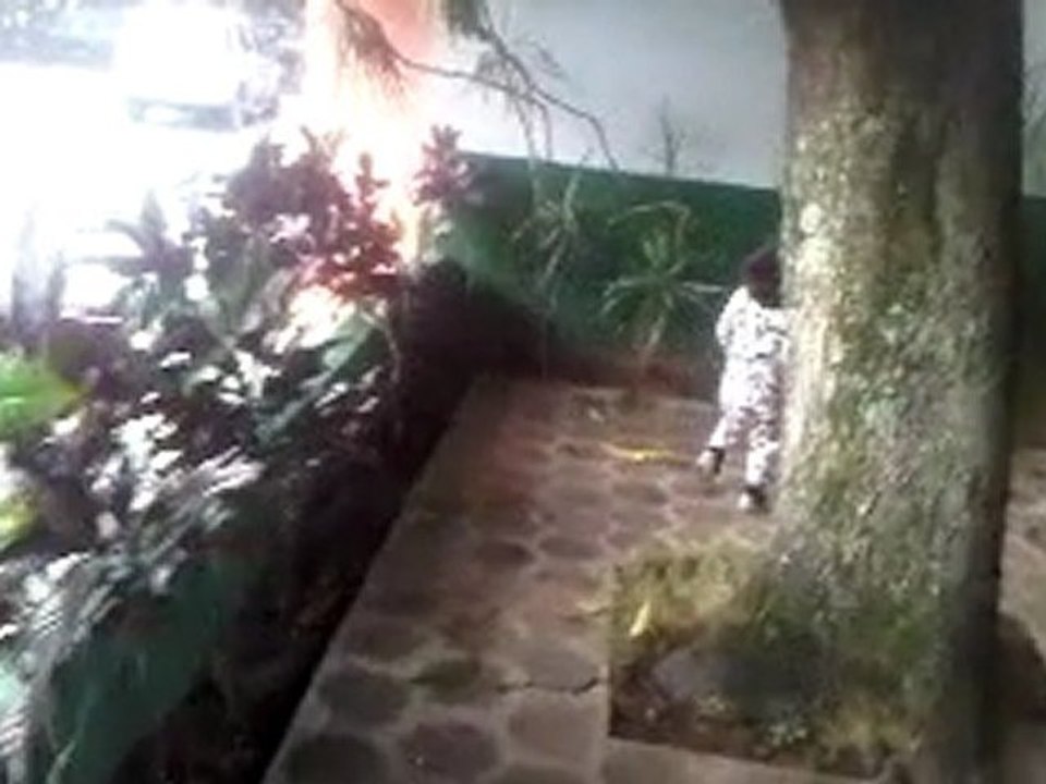 Christopher y sus animales de la manana