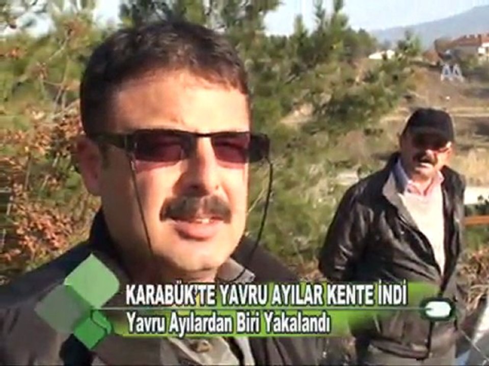 KARABÜK’TE YAVRU AYILAR KENTE İNDİ 23.11.2011