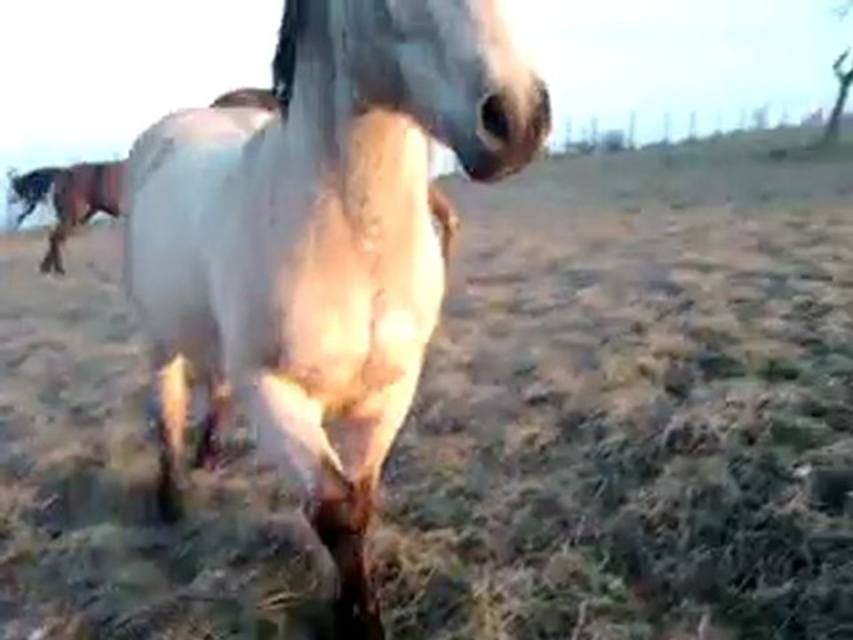 Vidéo0010
