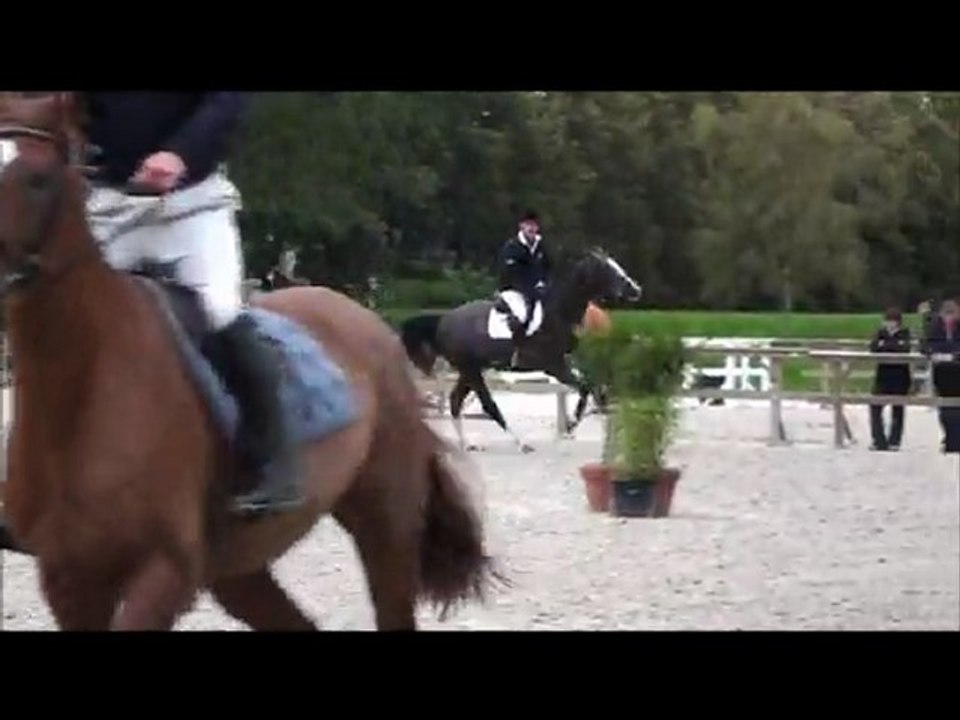 2011 Uysper régional d'automne st lô