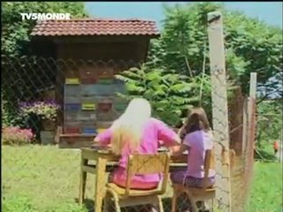 les liens entre les abeilles et les hommes 2