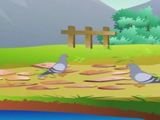 Animal Sounds in Gujarati - Pigeon