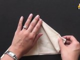 Learn the Arrow Napkin Fold in Kannada