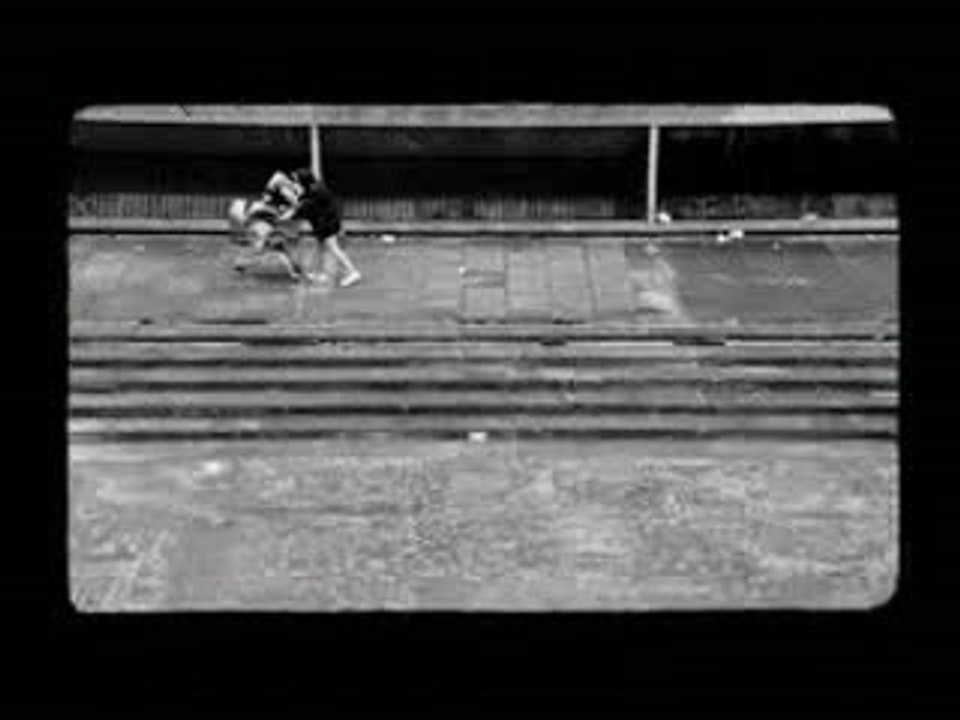 A.monkeys-the view from the afternoon