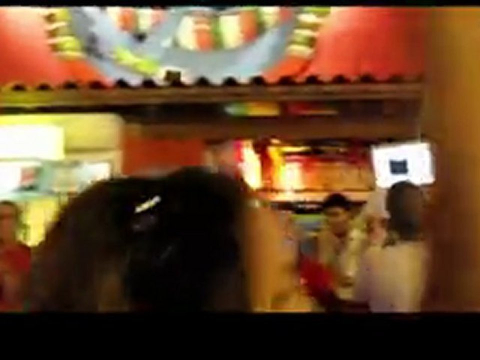 Flash Mob Aruba 2011