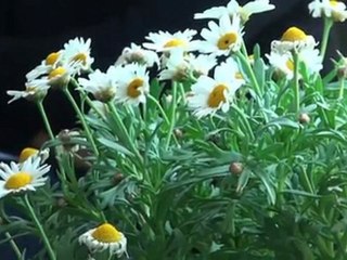 Niente boccate di 'aria fresca' per Rimini