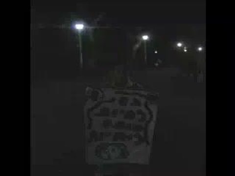 girl scouts for the animals