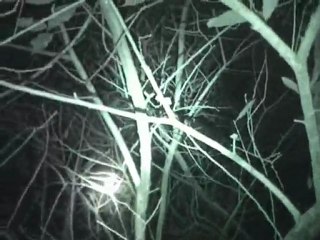 Bracken Tor The Time of Tooth and Claw Trailer