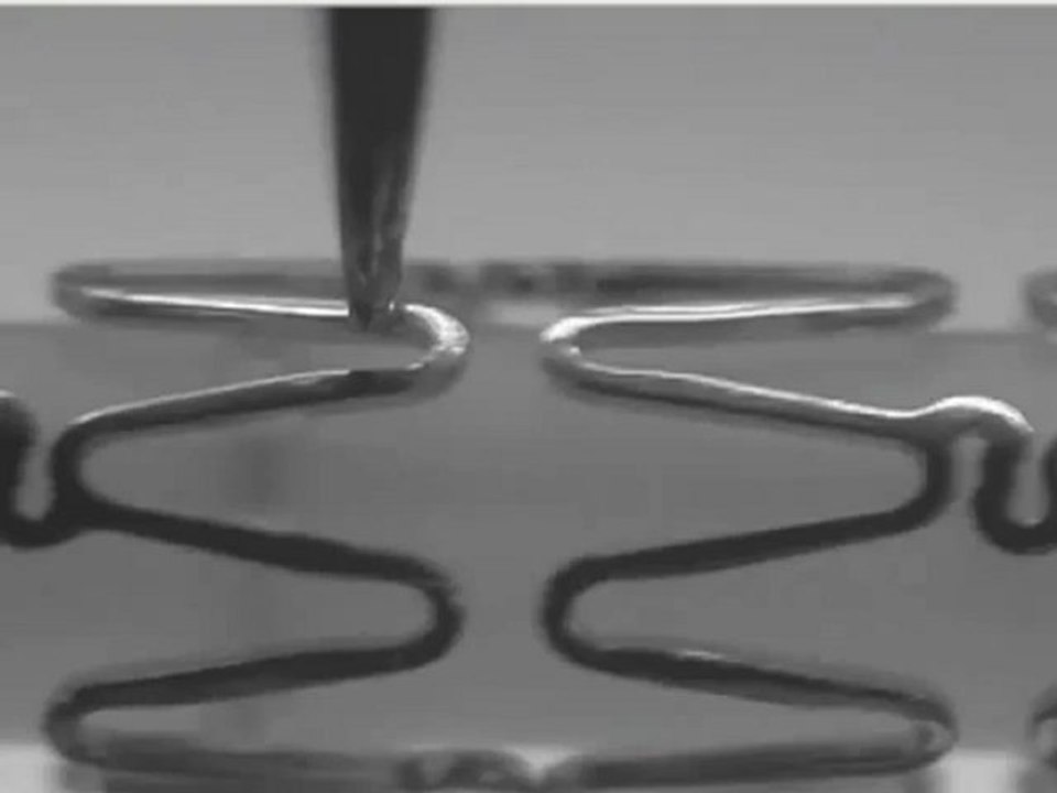 Autopipette Biomatrix Flex