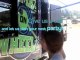 A2 Mobile Game Truck parties for schools, corporate events boys girls birthday parties.  Auburn, Loomis, Penryn, Rocklin CA