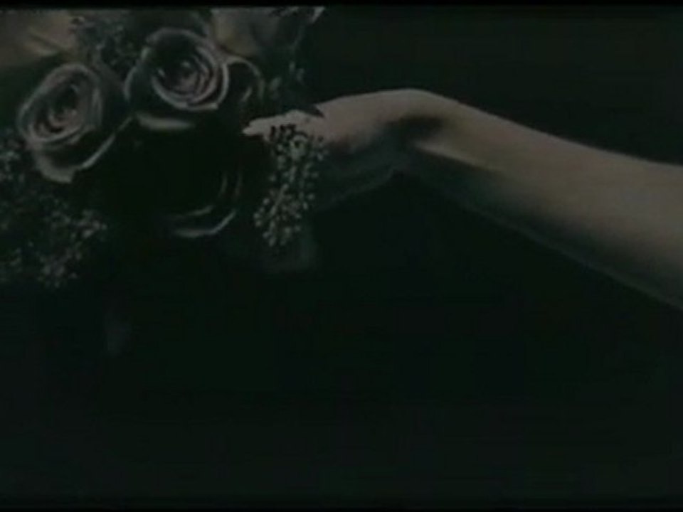 Daphne guinness for comme des garcons - mnemosyne