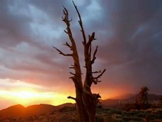 ALLAH'IN MUHTEŞEM SANATI.....