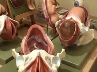 Nuovi ricercatori e laboratori il polo universitario riminese cresce