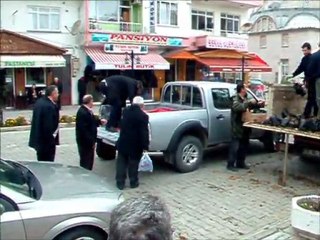 Kestane Fidanı Dağıtımı