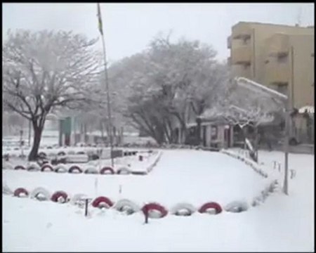 Altarimini: tornata la neve a Rimini