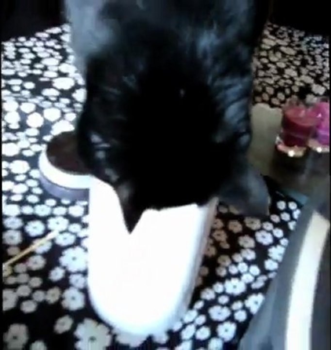 On est jamais mieux servis que par sois même!